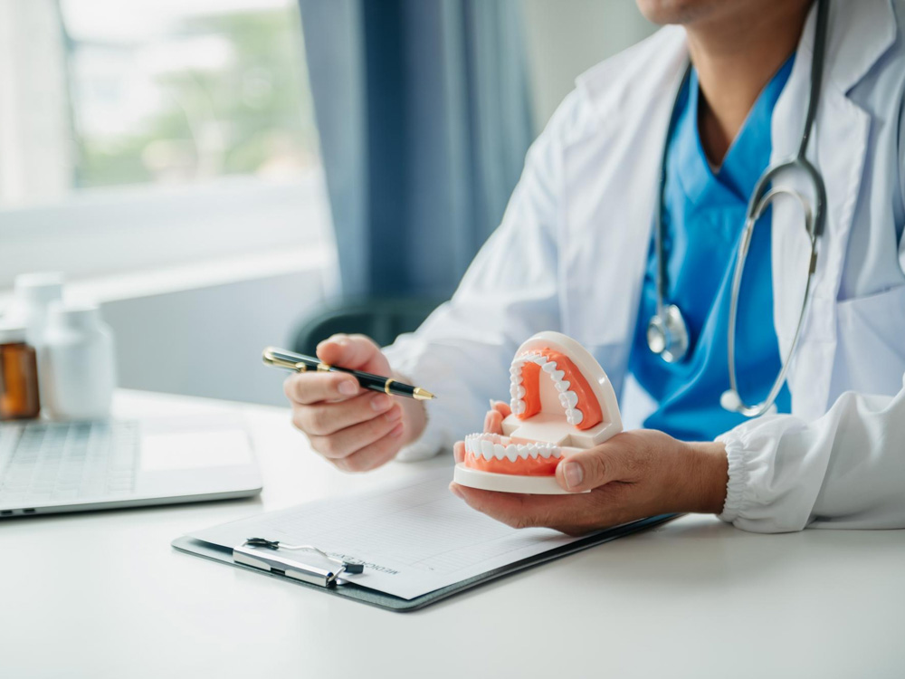 Dentist holding a model of human teeth and a pen while sitting at a desk with medical forms.