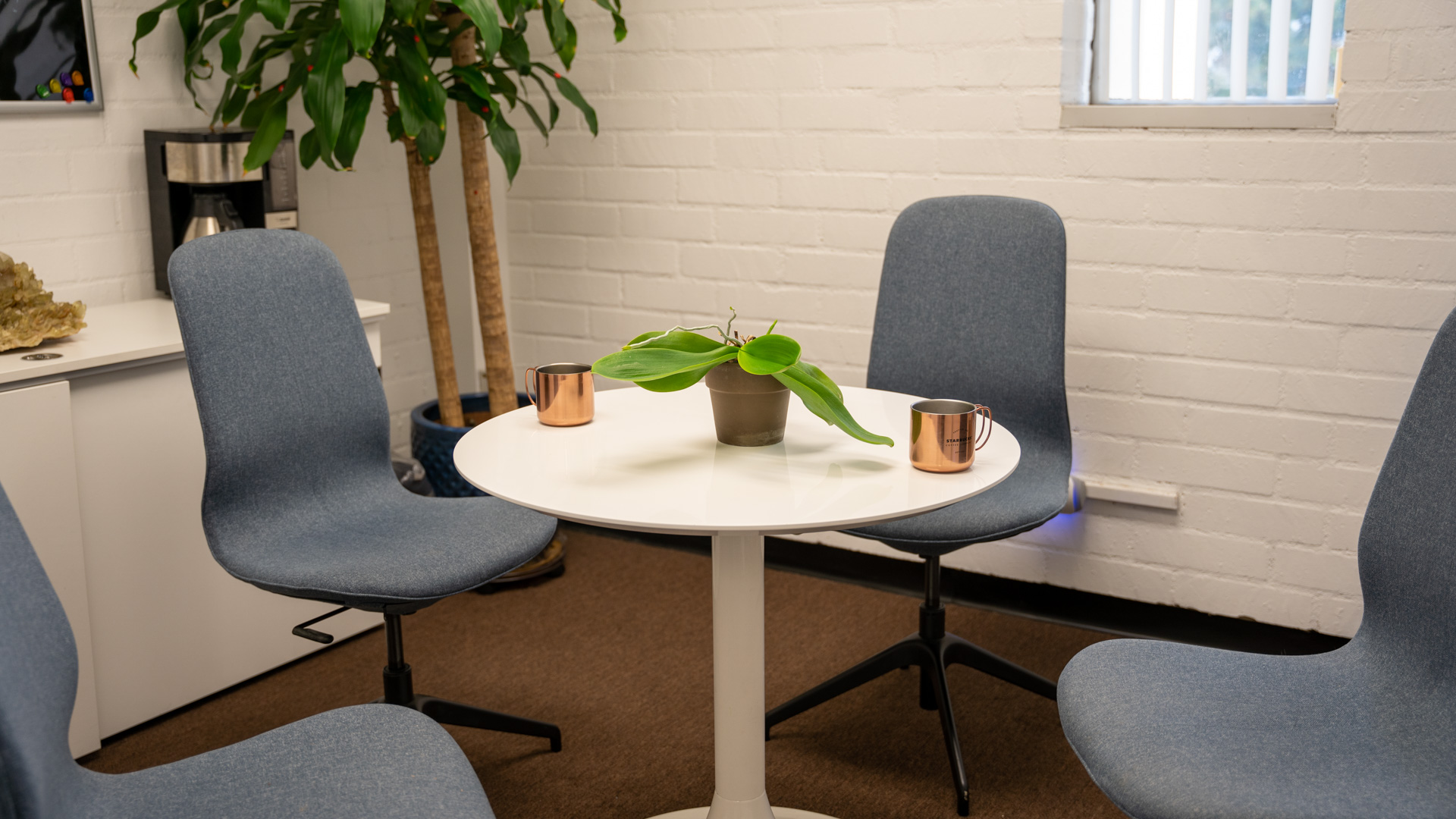 A modern ProActive Clinic office break area with a white round table, four blue chairs, and decorative plants.